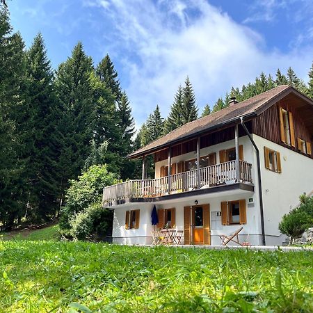 Chalet Harmony Rogla - Apartment Zrece Ngoại thất bức ảnh