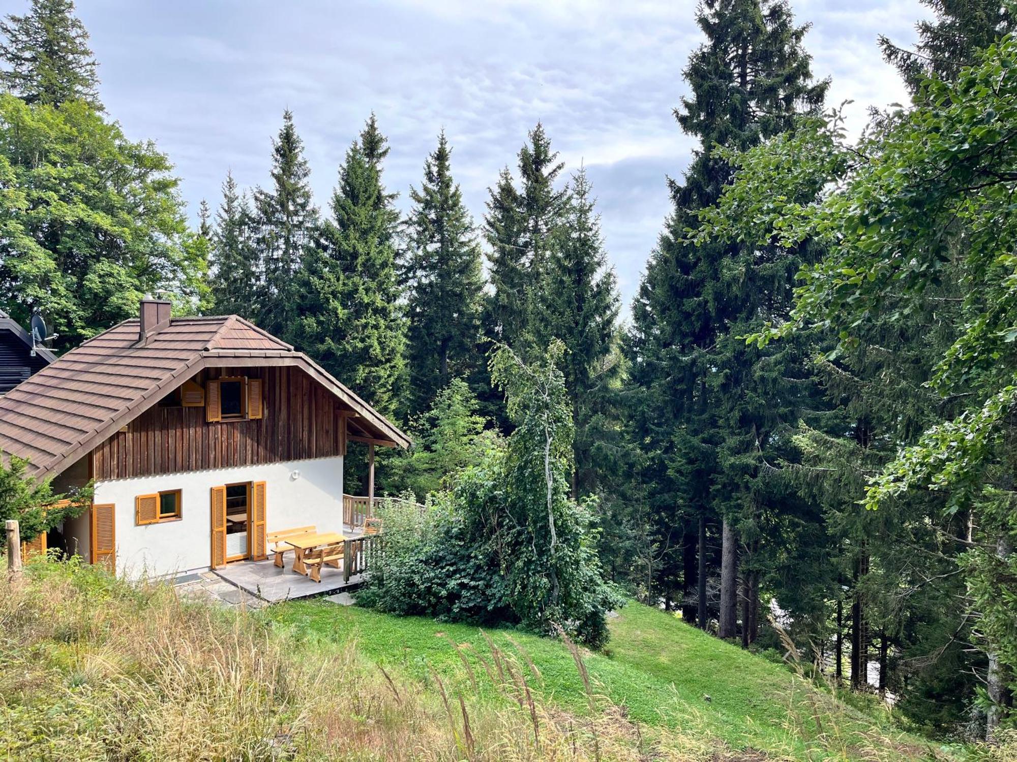 Chalet Harmony Rogla - Apartment Zrece Ngoại thất bức ảnh
