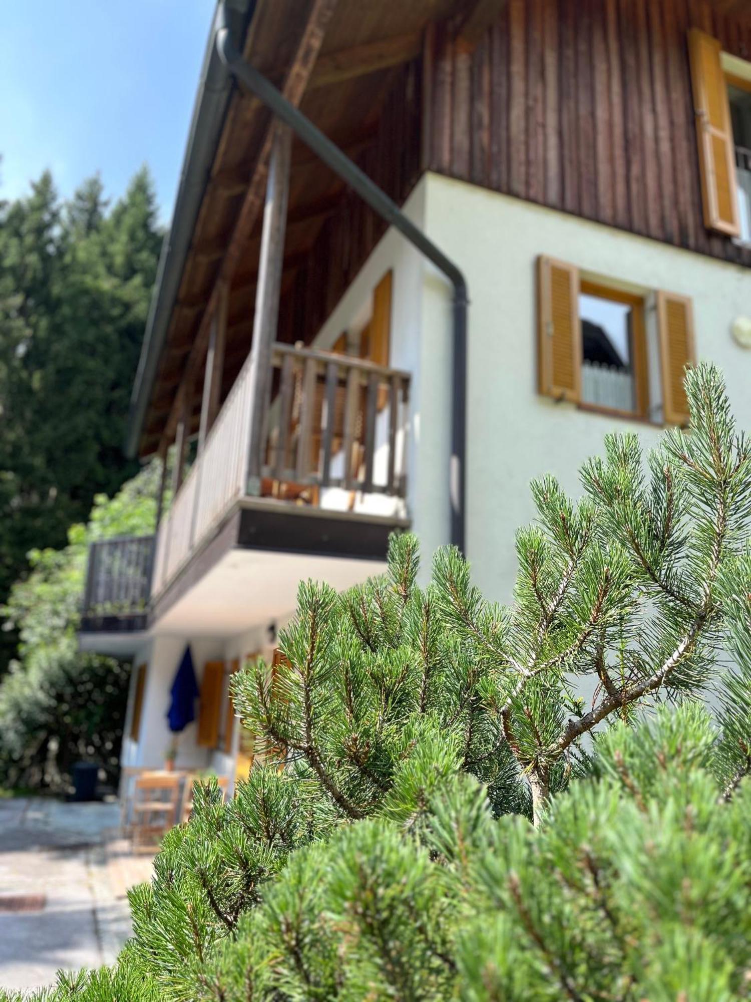 Chalet Harmony Rogla - Apartment Zrece Ngoại thất bức ảnh